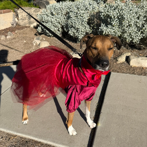 Team Page: Clyde Channels Billy Porter